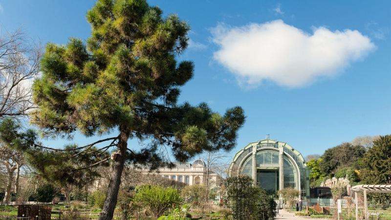 Rendez-vous au Jardin des Plantes