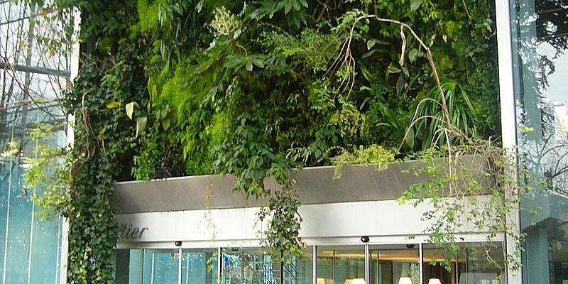 30 ans de Fondation Cartier pour l'art contemporain